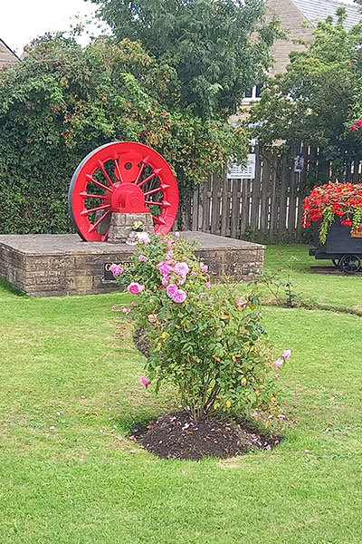 Flower displays in trucks in the park